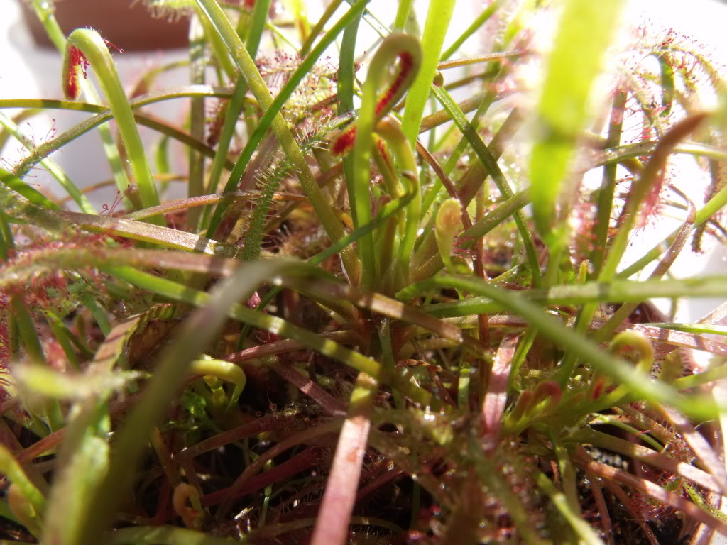 DSCF5057.jpg