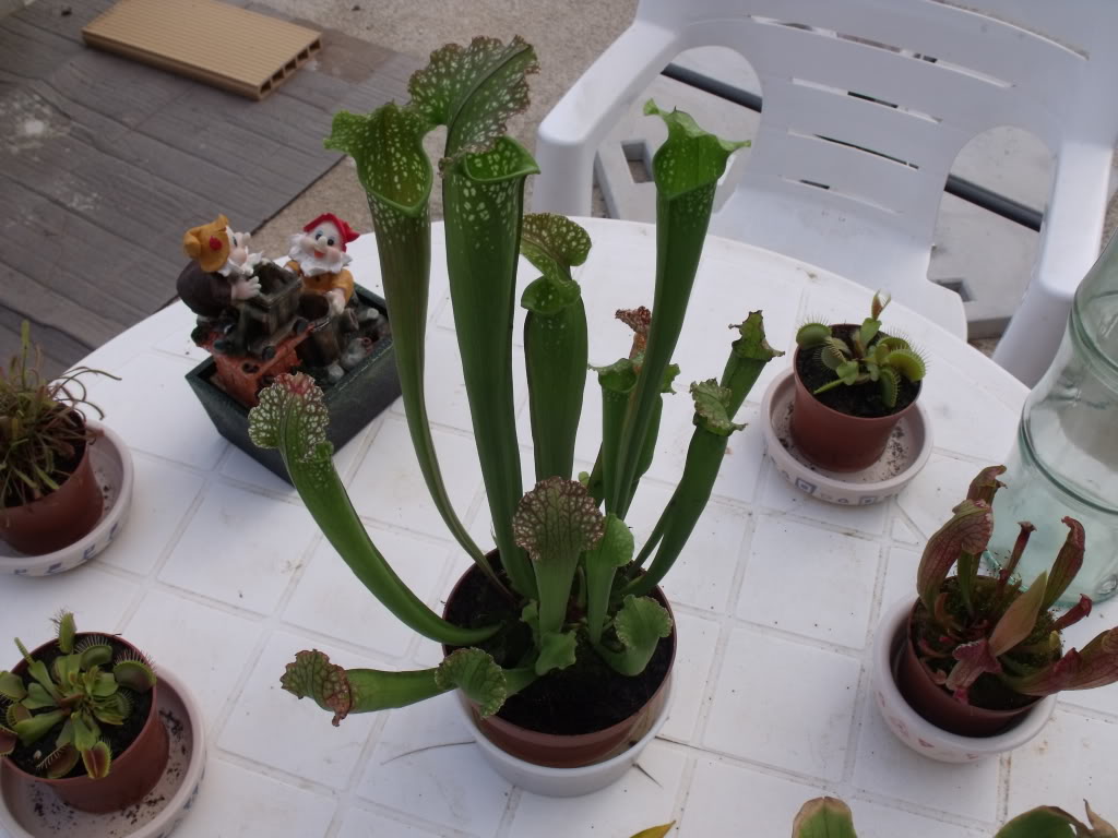 DSCF5084.jpg