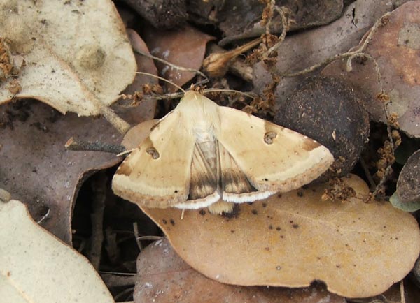 DSCF5155.jpg