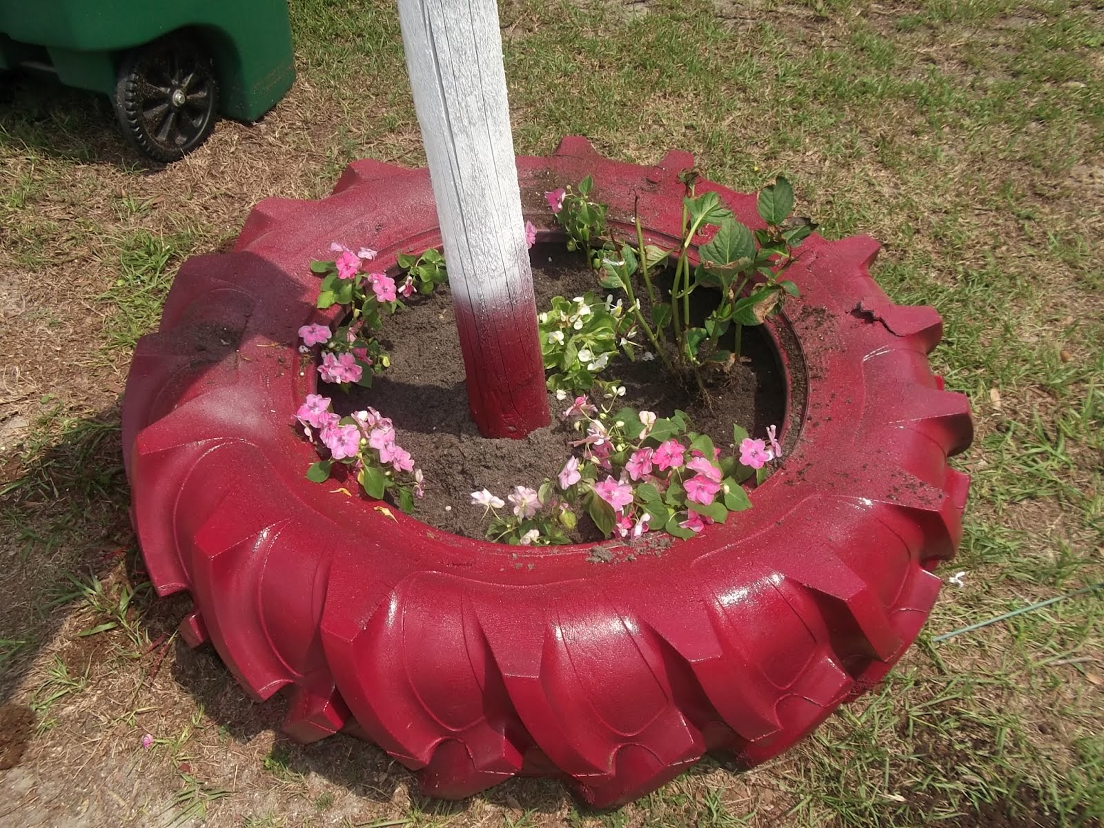 DSCF5208.JPG