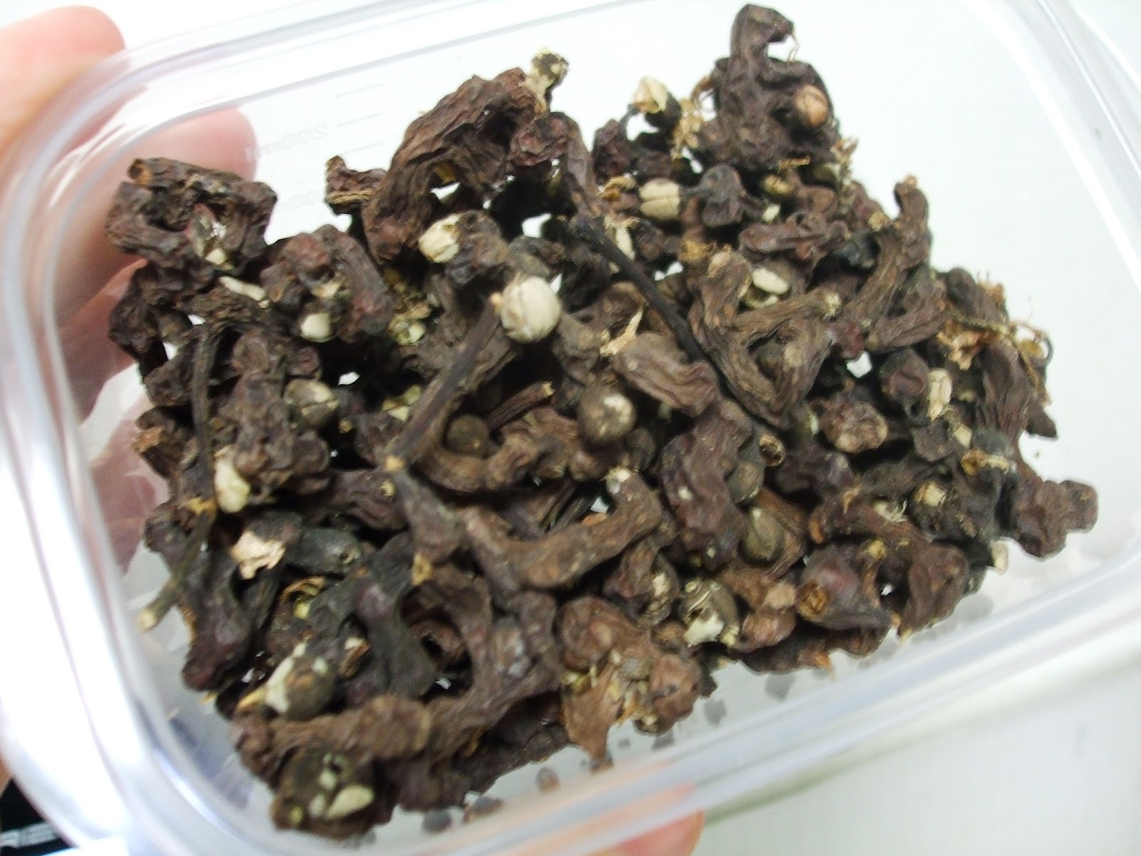 DSCF5562.JPG