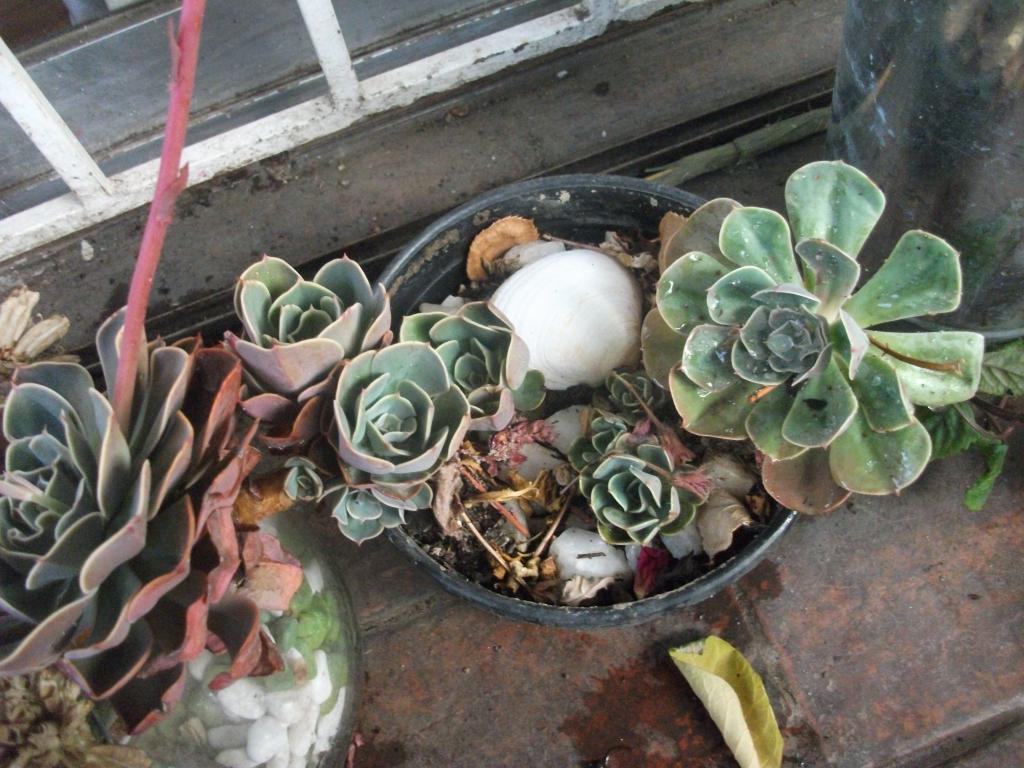 DSCF5564_zps0ecc40d0.jpg