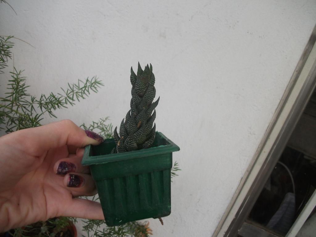 DSCF5569_zps88ae11e3.jpg