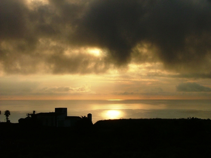 DSCF5575_pizquilla.JPG