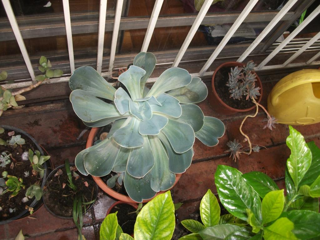 DSCF5579_zpse9365b2f.jpg