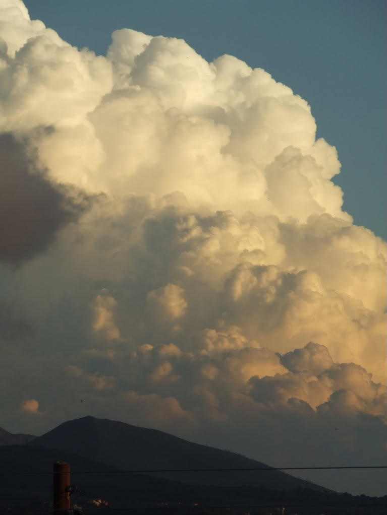 DSCF5631.jpg