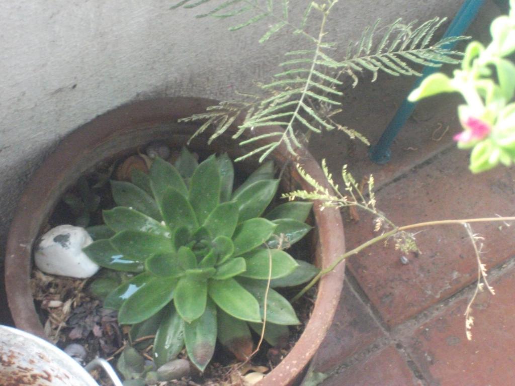 DSCF5648_zpsccb9b125.jpg
