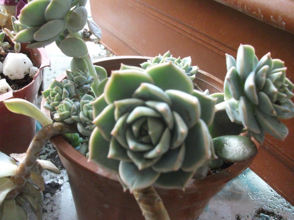 DSCF5654_zps57f09b3e.jpg