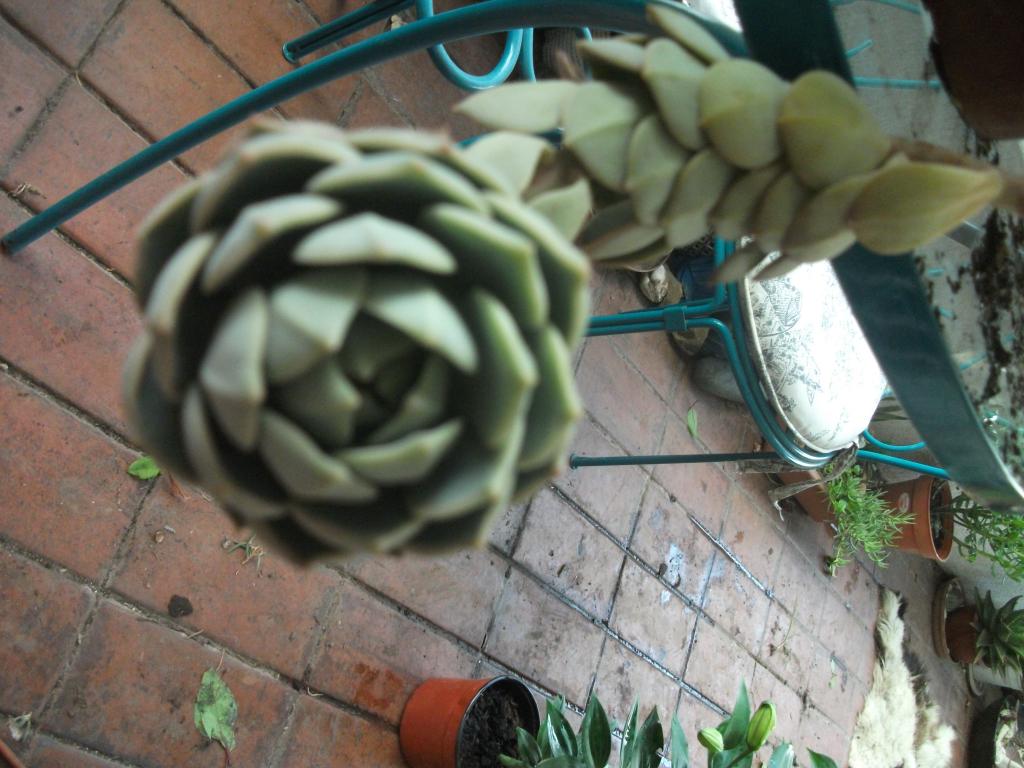DSCF5656_zps08d11f80.jpg