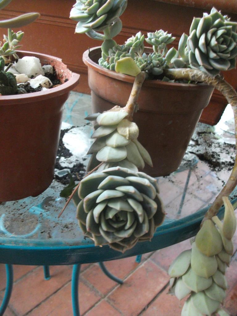 DSCF5657_zpsb38d0834.jpg