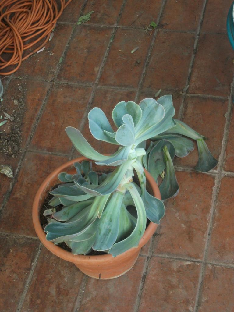 DSCF5672_zpse197dfff.jpg