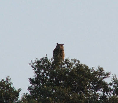 DSCF5744.jpg