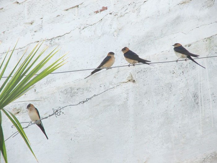 DSCF5773.jpg