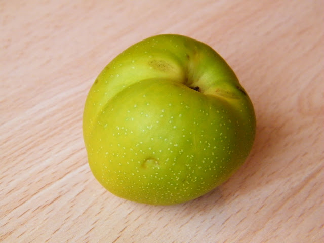 DSCF5944.JPG