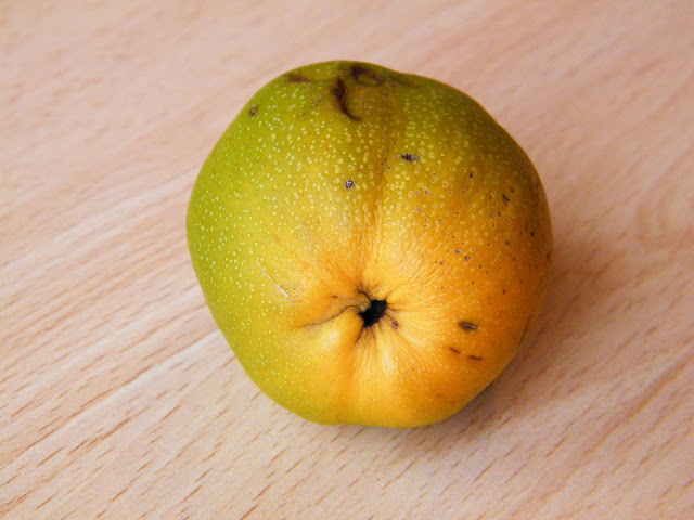 DSCF5946.JPG