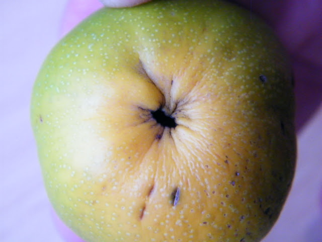 DSCF5966.JPG