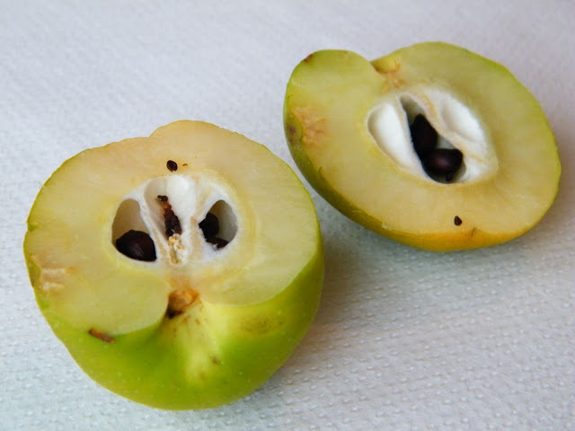 DSCF5969.JPG