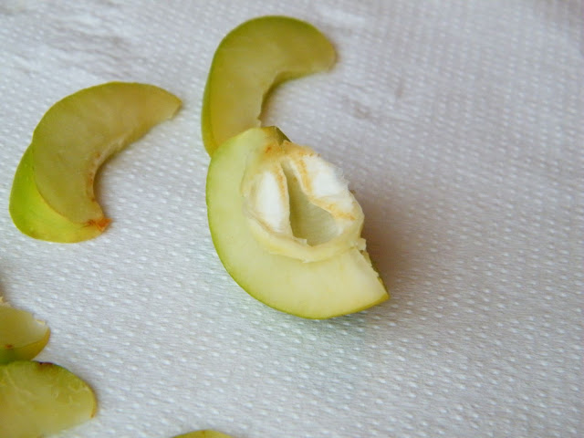 DSCF5972.JPG