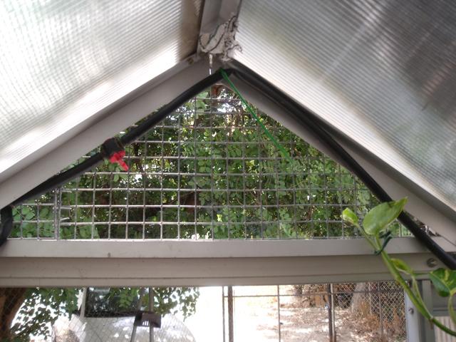 DSCF6005.JPG