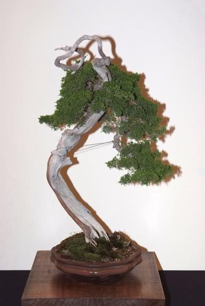 DSCF6098.jpg