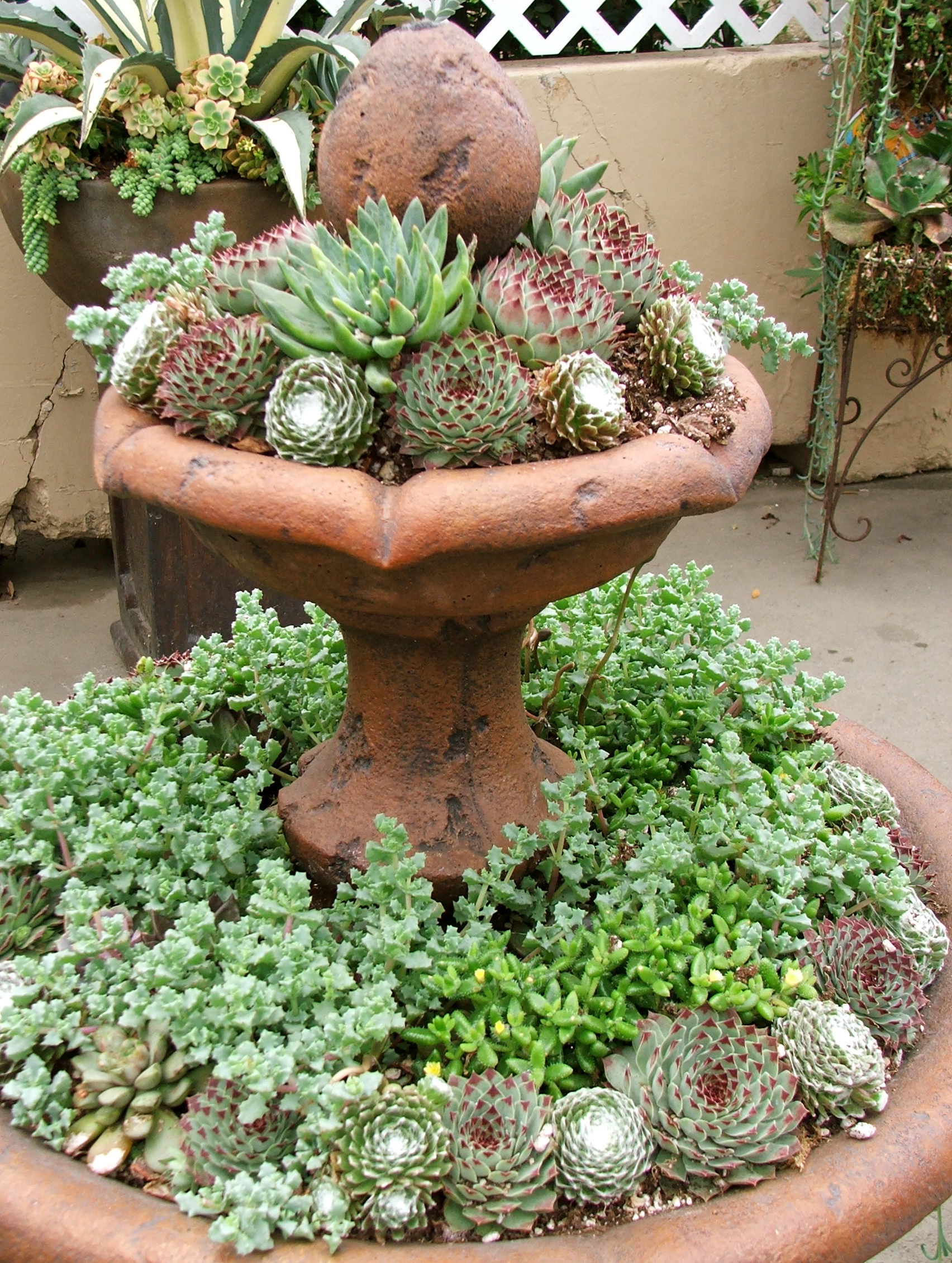dscf6334.jpg