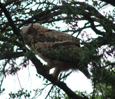 DSCF6361.jpg