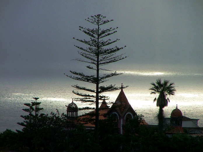 DSCF6521_dominical.JPG