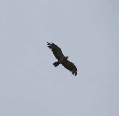 DSCF6702.jpg