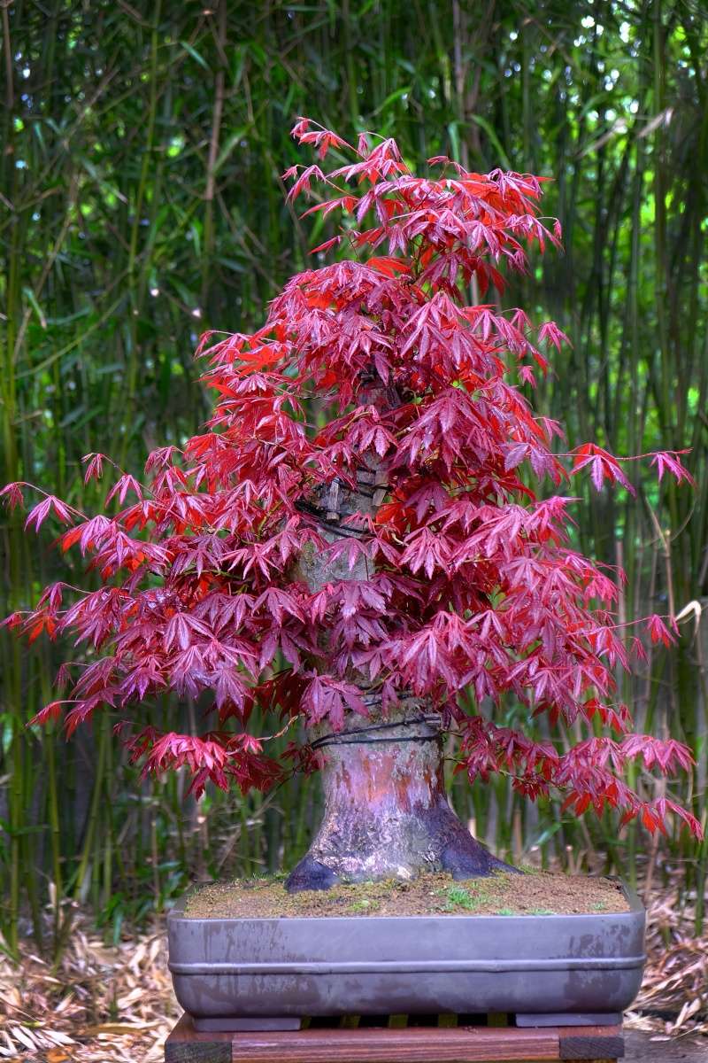 dscf6710.jpg
