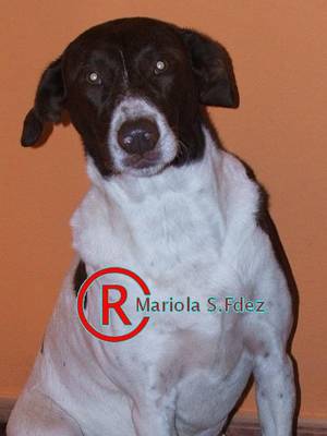 DSCF6765.JPG