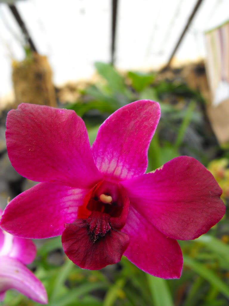 DSCF6831.jpg