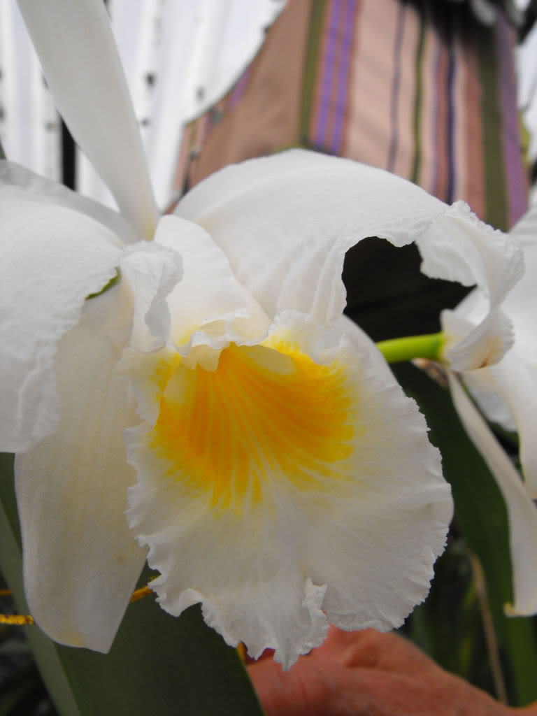 DSCF6832.jpg