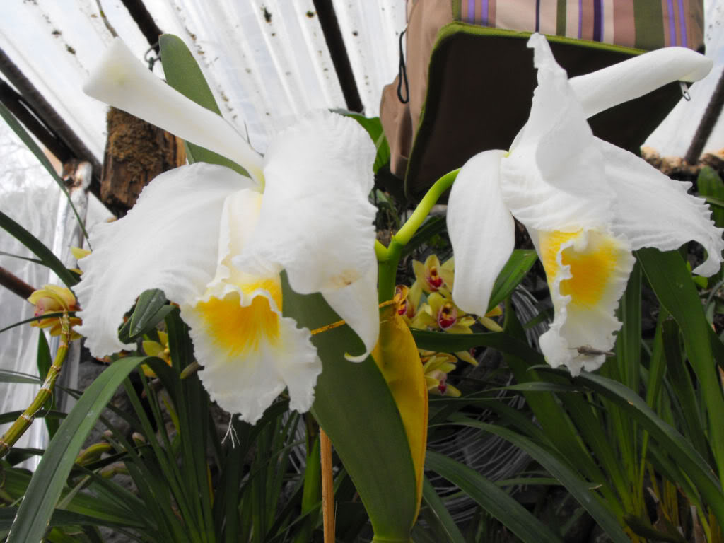 DSCF6833.jpg