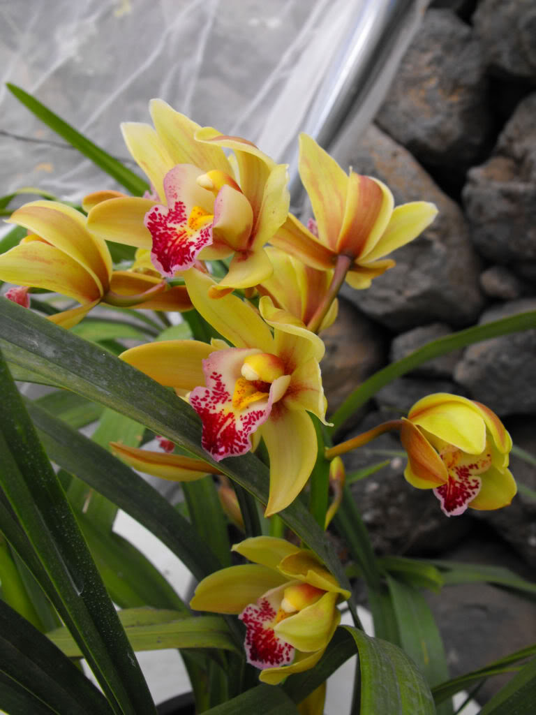 DSCF6834.jpg
