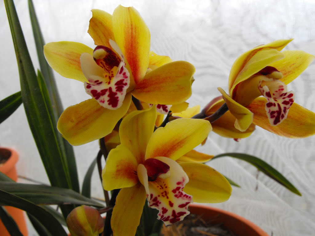 DSCF6836.jpg