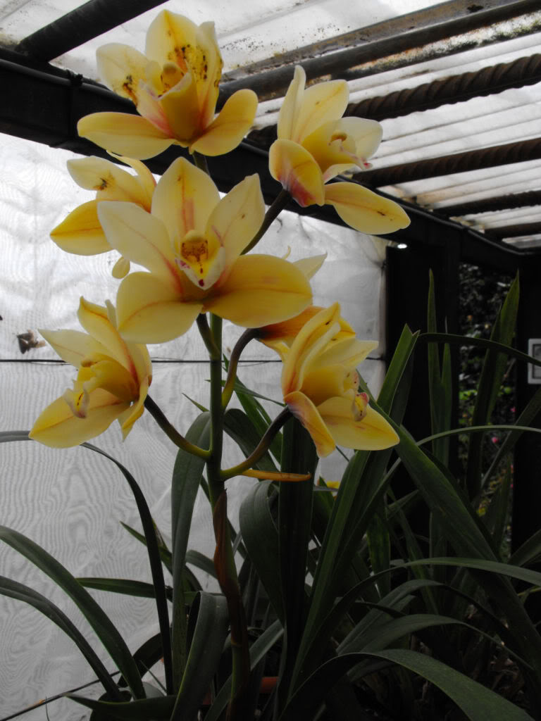 DSCF6838.jpg
