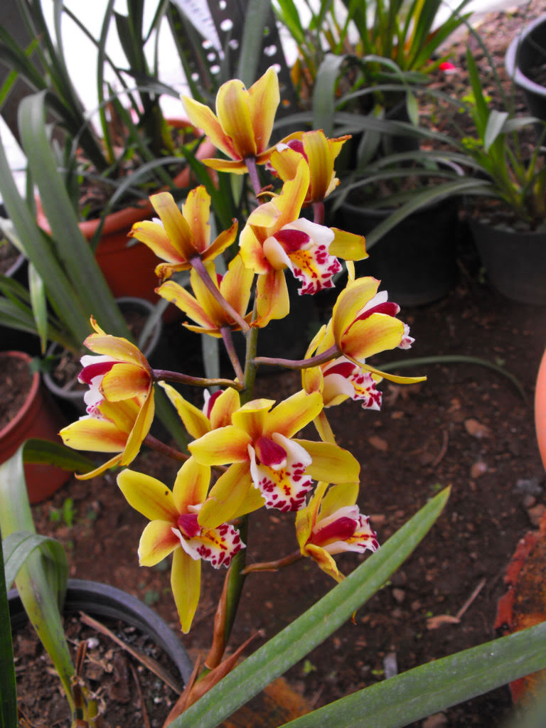DSCF6839.jpg