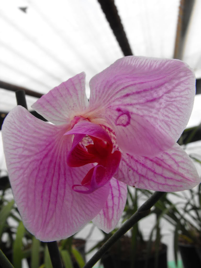 DSCF6841.jpg