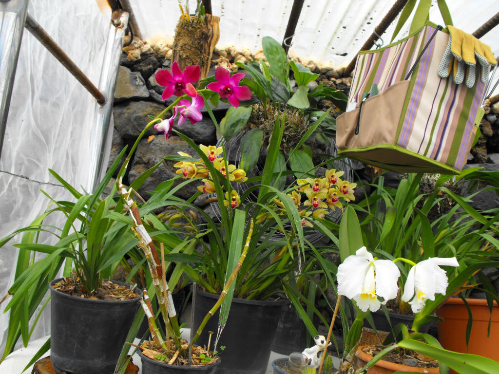DSCF6844.jpg
