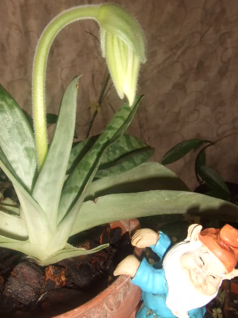 DSCF7035.jpg