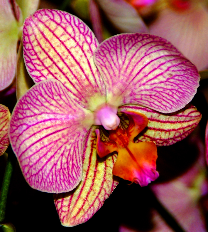 DSCF7261.jpg