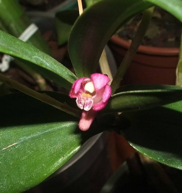 DSCF72992.jpg