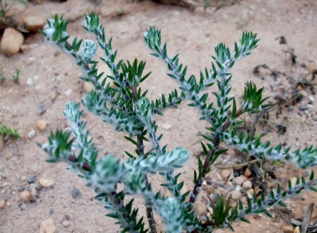 DSCF7389640x480.jpg