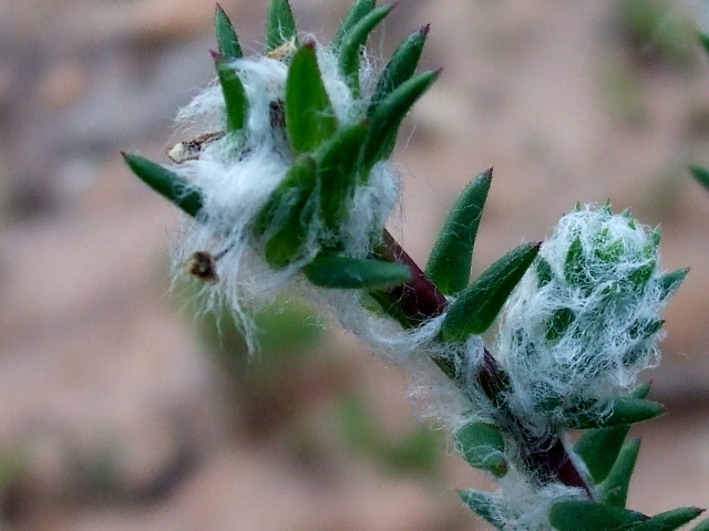 DSCF7390640x480.jpg