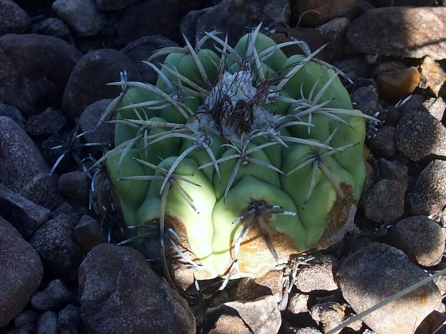 DSCF7423640x480.jpg