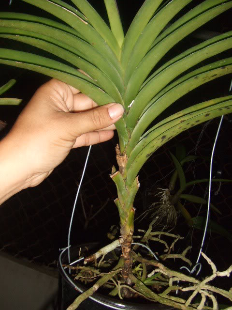 DSCF7876.jpg