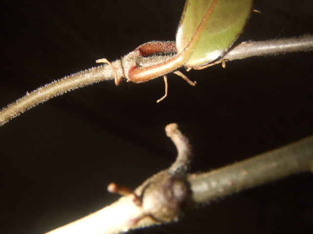 DSCF7884.jpg