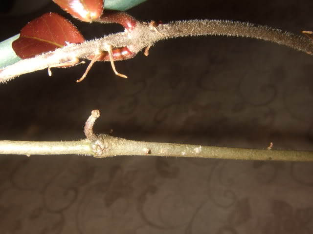 DSCF7886.jpg