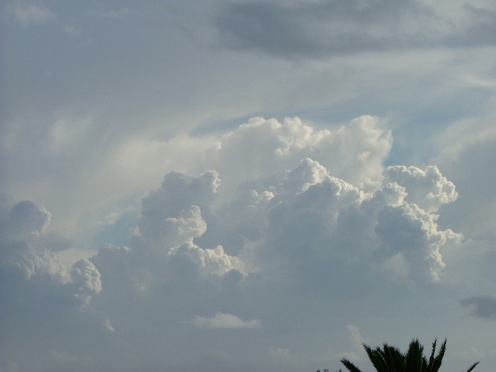 DSCF8151_en_oto_o.JPG