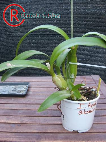 DSCF821030.JPG